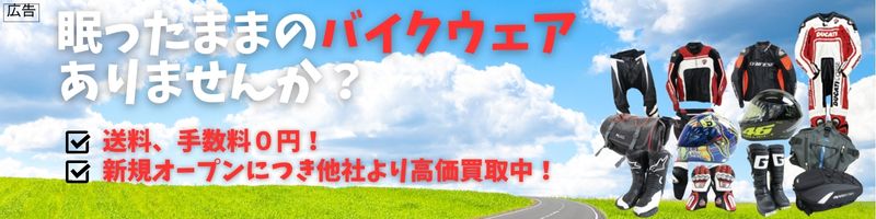 �o�C�N�E�F�A�A�w�����b�g����������X�y�X�g�X�g�z���T�C�g